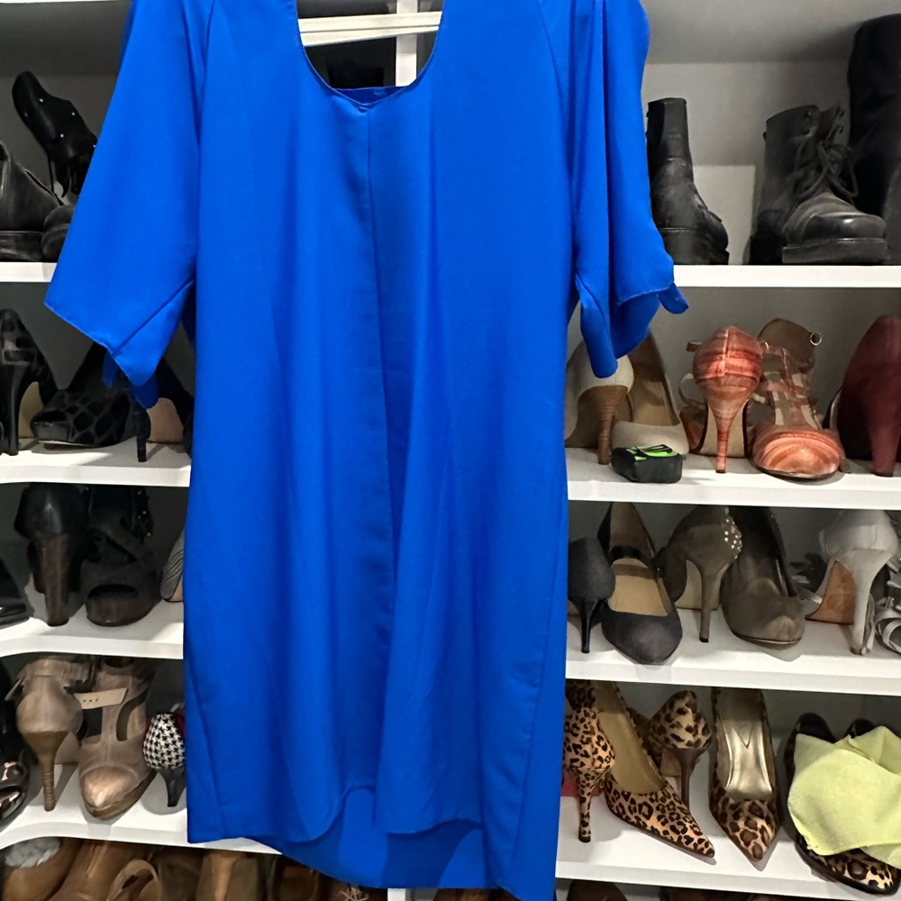 Royal Blue sheath dress. Cute detail on sleeves and back.
